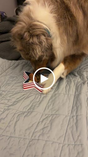 Customer photo review of FreezUSAStar