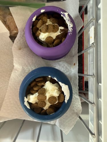 Customer photo review of Freezball - Durable Fillable Dog Chew Bone