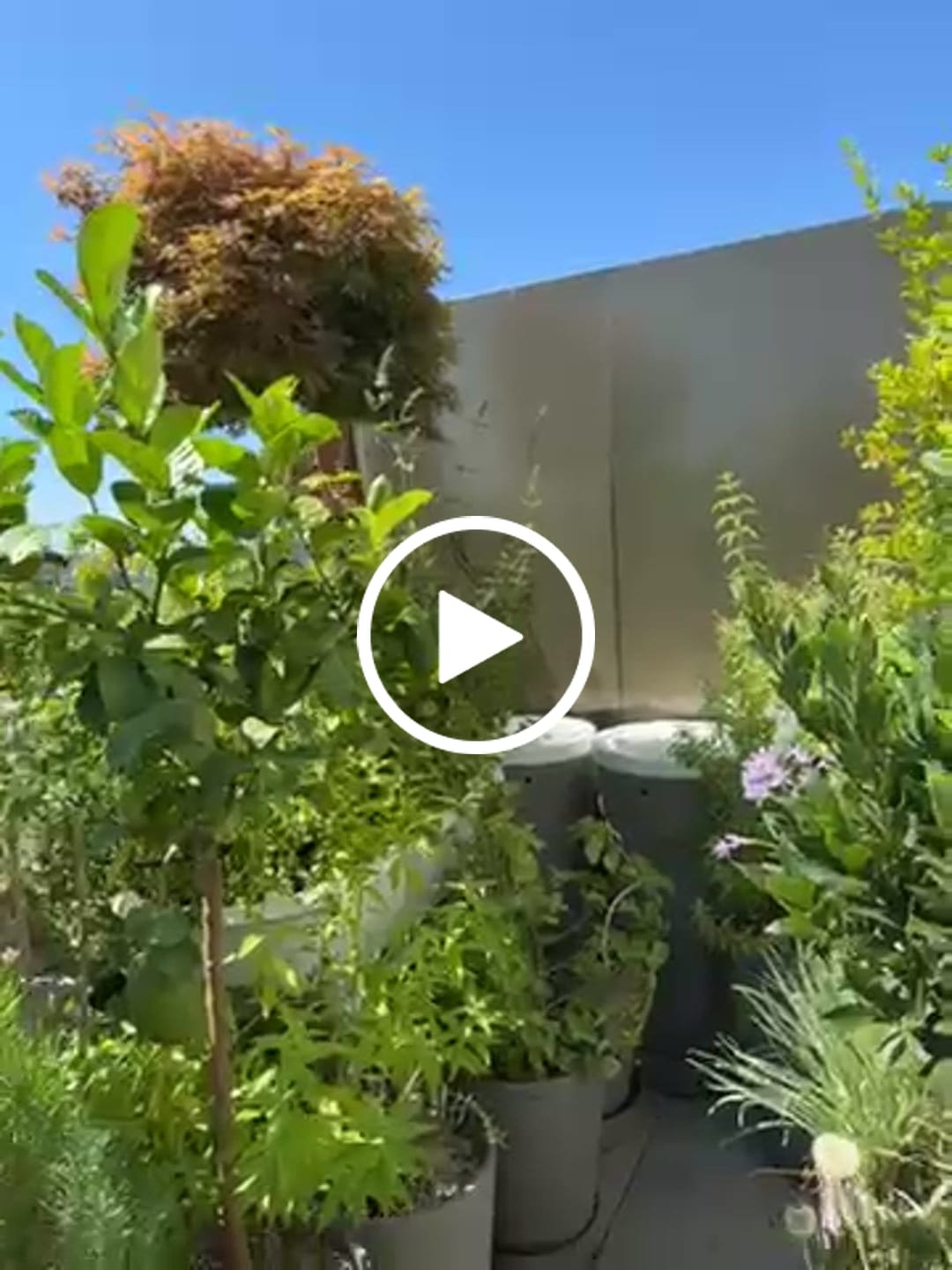 Customer video review of Boum 3 Steuerung (Pro)