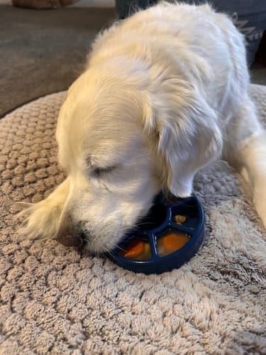 Customer photo review of FreezWheel - Durable Interactive Chew