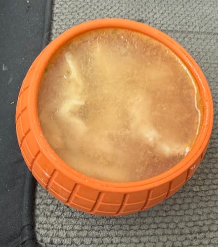 Customer photo review of FreezPumpkin Limited Halloween Edition Dog Toy