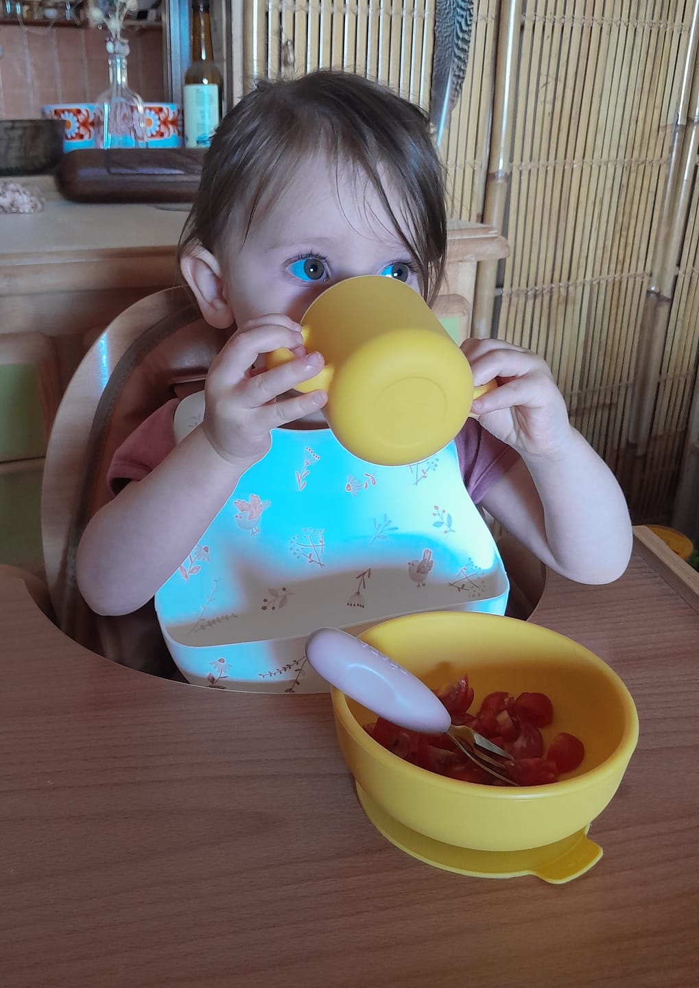 Customer photo review of Silicone Suction Bowl - Mimosa