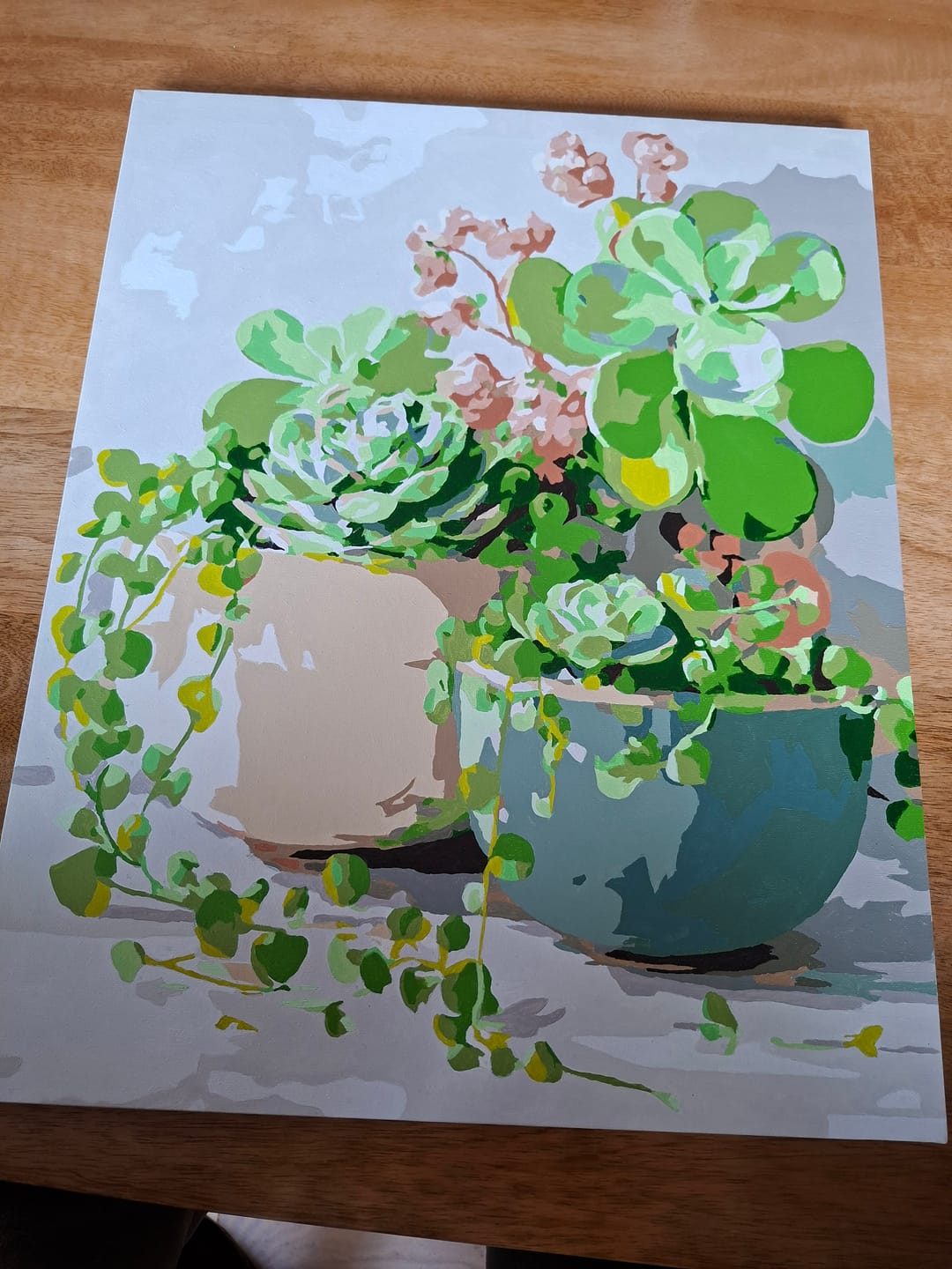 Customer photo review of Lentesucculenten