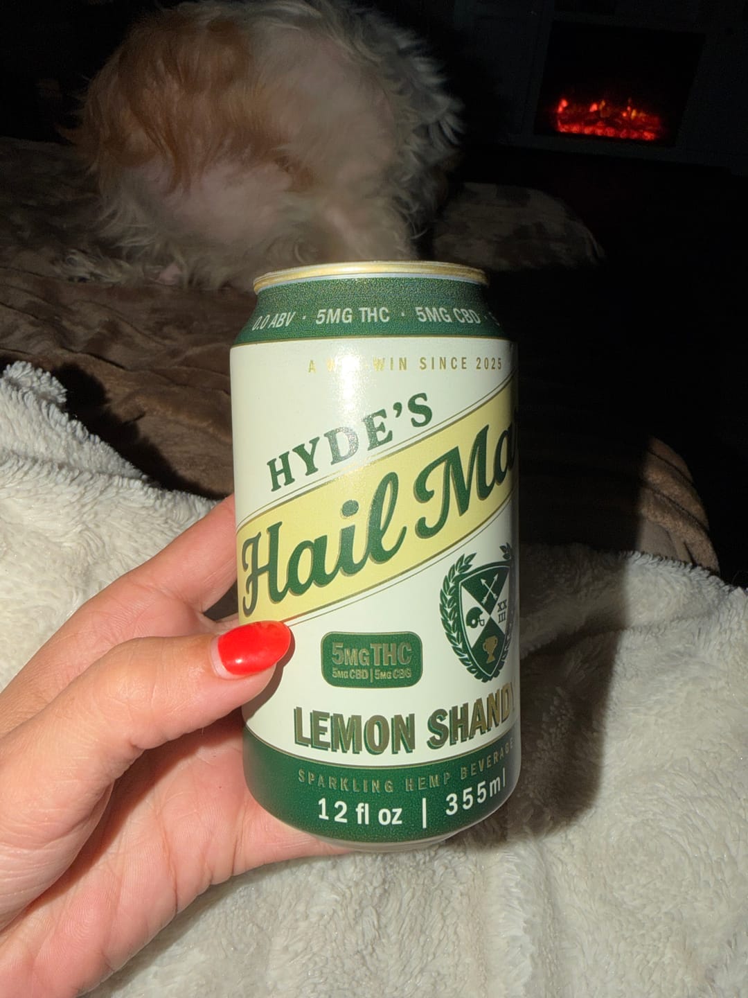 Customer photo review of Lemon Shandy 4-Pack