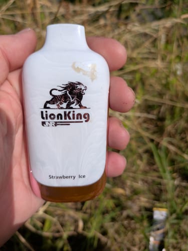 Customer photo review of JNR - Lion King 42K - Puff Jetable / Vape Disposable 2% Nicotine