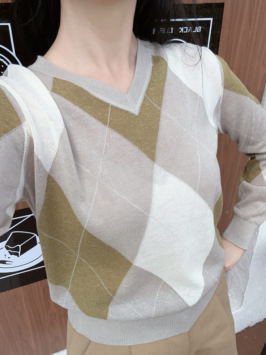 Customer photo review of LILY Argyle V-Neck Knit Sweater