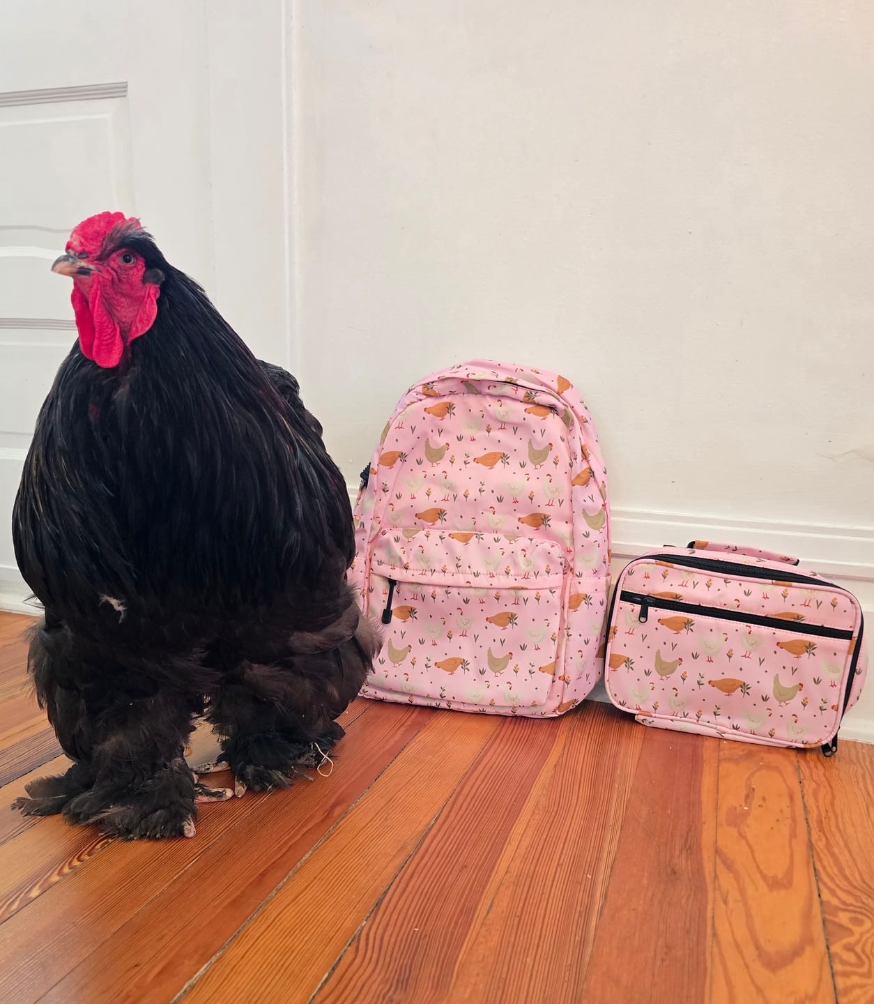 Customer photo review of Pink Cottage Chicken Backpack
