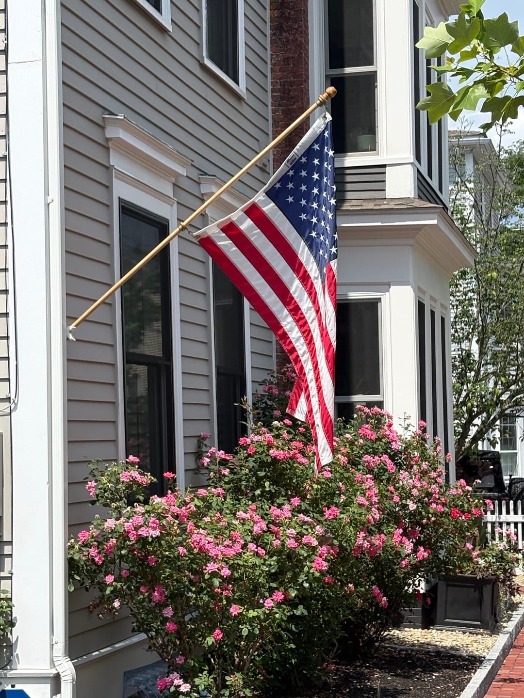 Customer photo review of 6' Flagpole