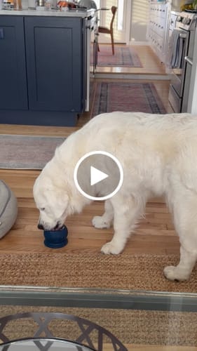 Customer photo review of Freezball - Durable Fillable Dog Chew Bone