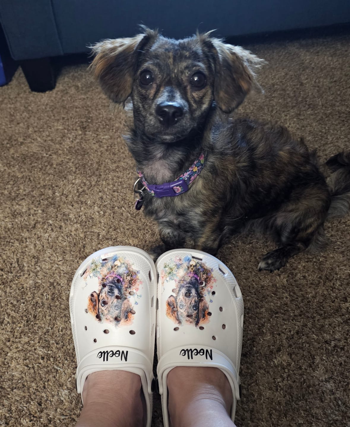 Customer photo review of Watercolor - Personalized Clogs