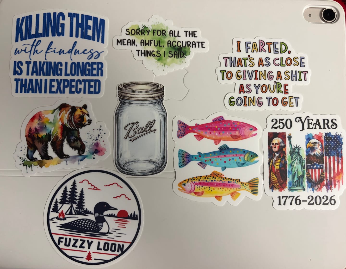 Customer photo review of STICKER CLUB | Monthly Sticker Subscription