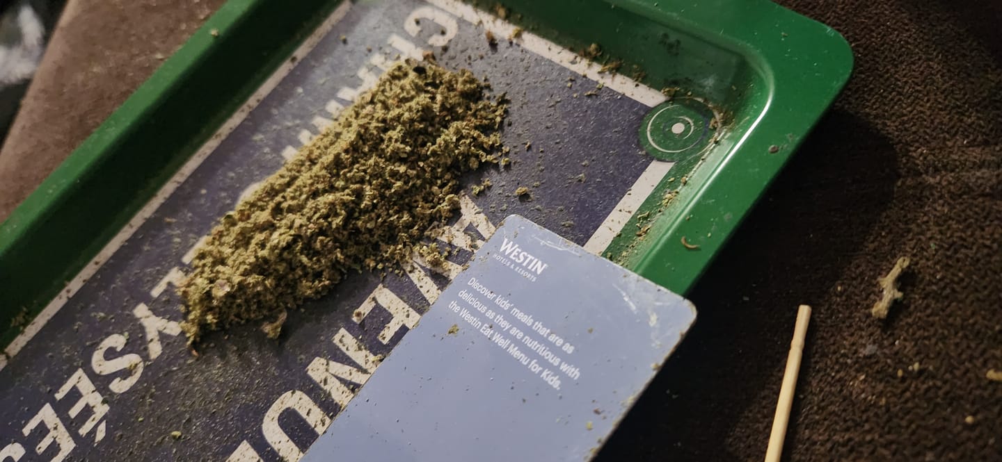 Customer photo review of Tropicana Cookies - Pack of Pre-Rolls (10 Pack) - Sativa