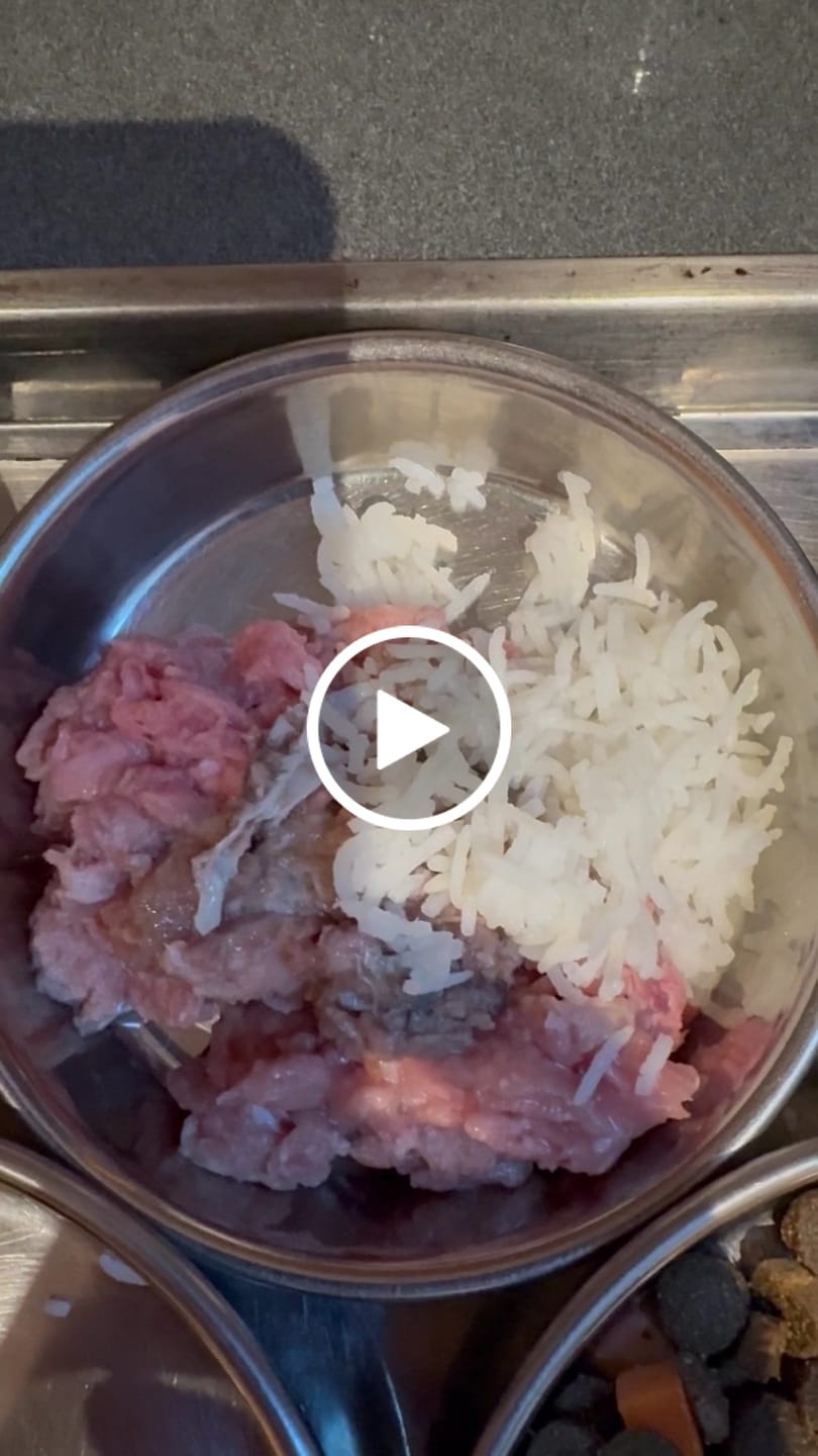 Customer video review of Bulk Box for Dogs