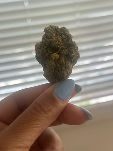 Gelato Cake - 28 Gramm - Hybrid photo review