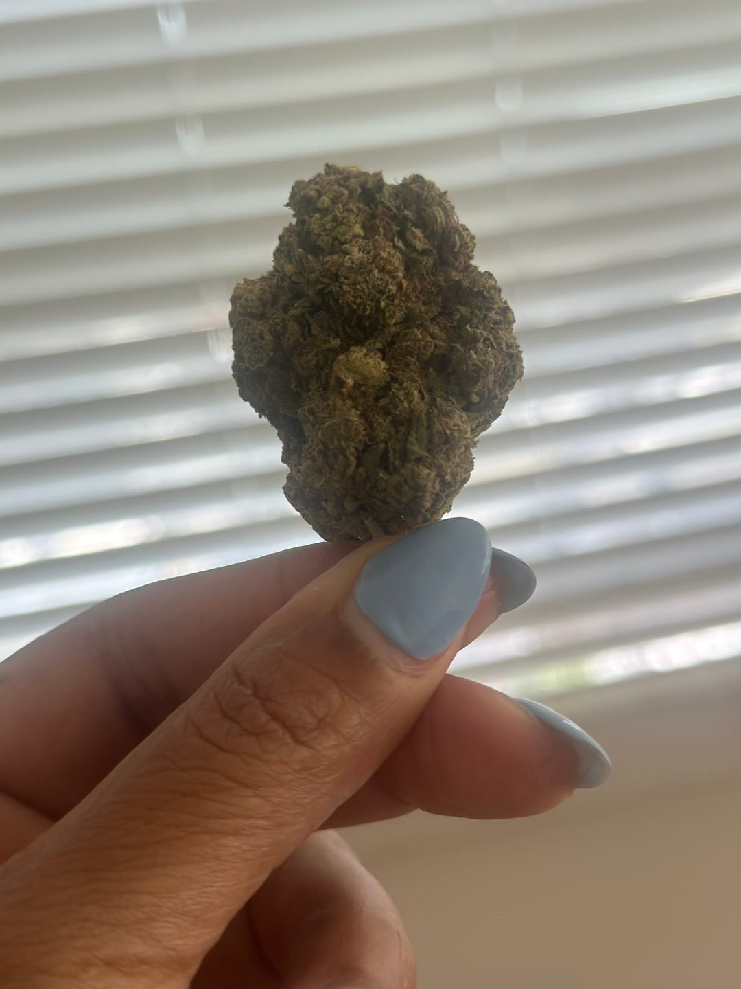 Customer photo review of Gelato Cake - 28 Grams - Hybrid