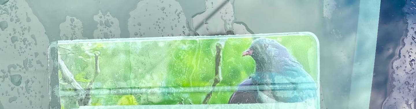 Customer photo review of Kereru