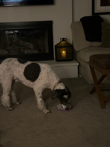Customer photo review of FreezSwirl - Durable Stimulation Toy