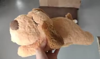 Customer photo review of Psi śpioszek - kojący pluszak dla psów