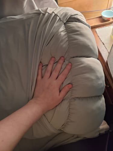 Customer photo review of Lune & Willow Pillow