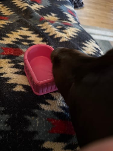 Customer photo review of FreezHeart - Durable Heart Enrichment Chew