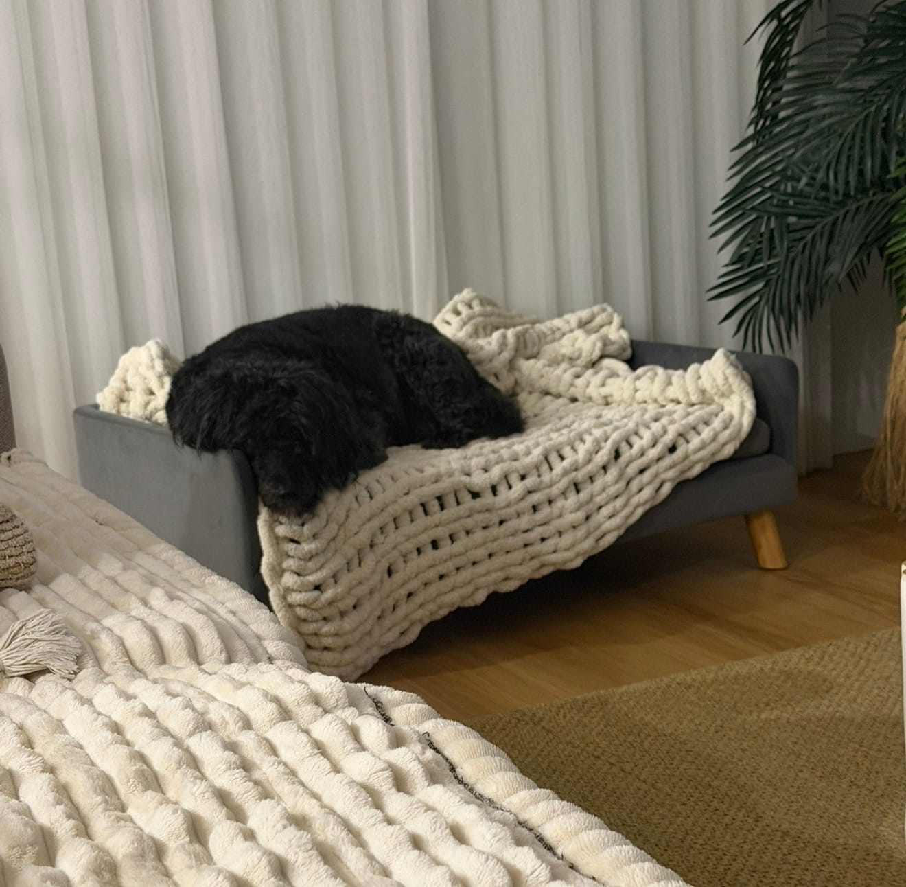 Customer photo review of Dog Sofa Bed Pet Lounge Couch