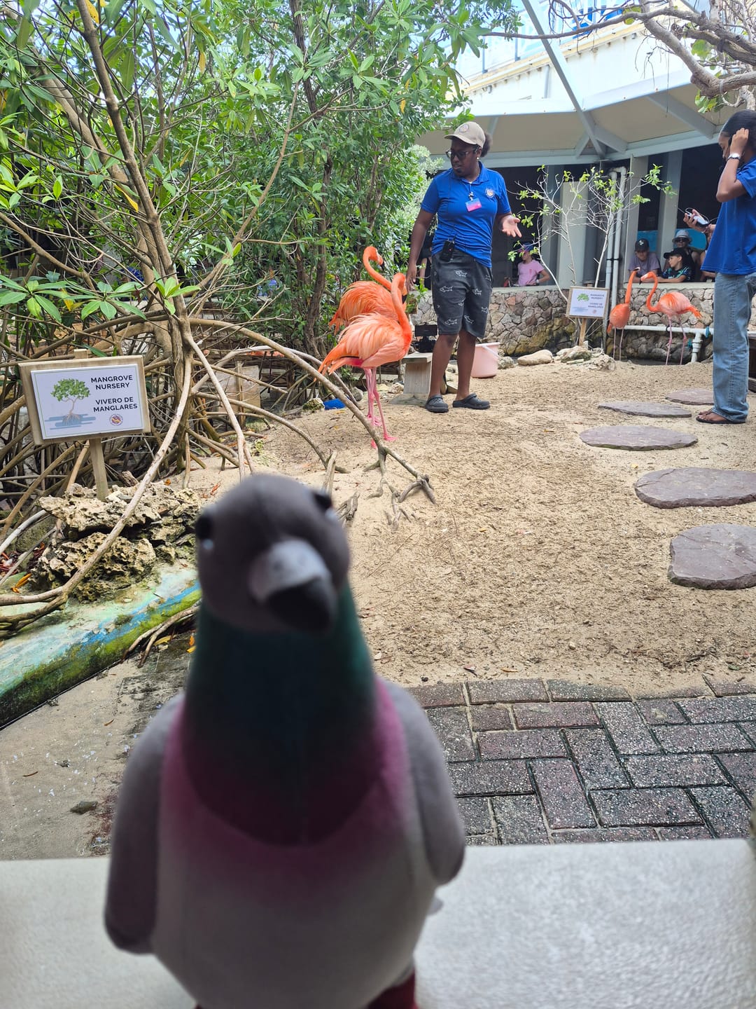 Customer photo review of Common Pigeon Bird Soft Stuffed Plush Toy