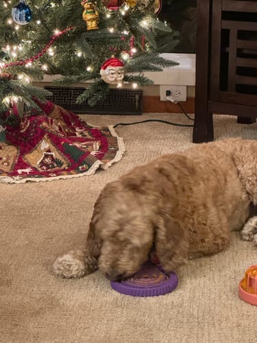 Customer photo review of FreezSwirl - Durable Stimulation Toy