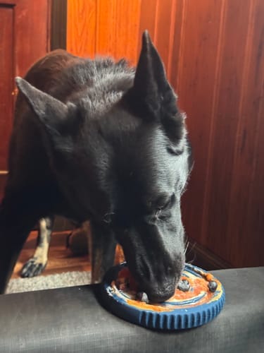 Customer photo review of FreezSwirl - Durable Stimulation Toy