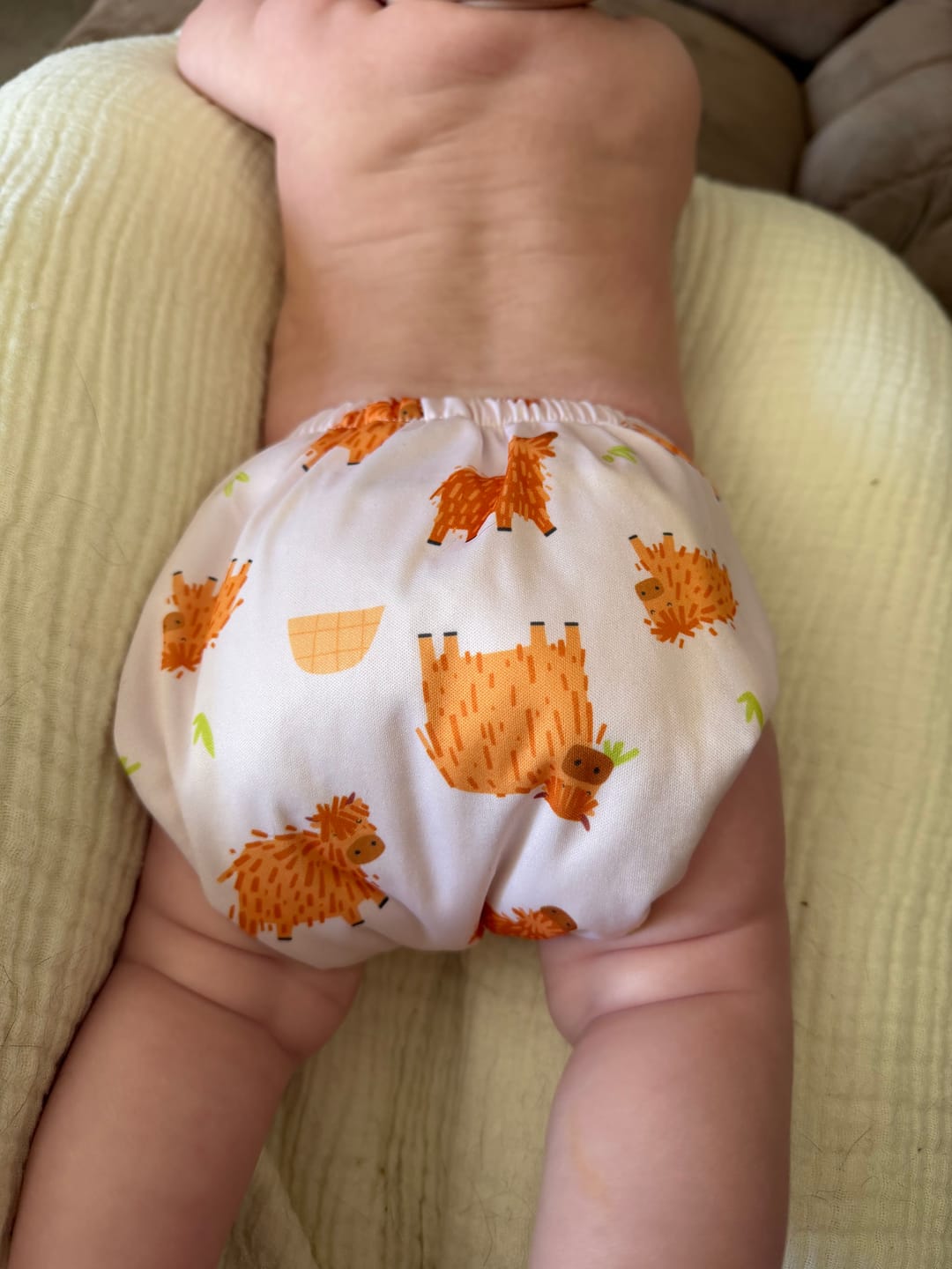Customer photo review of Shop the Vault: Pocket Cloth Diaper with Athletic Wicking Jersey