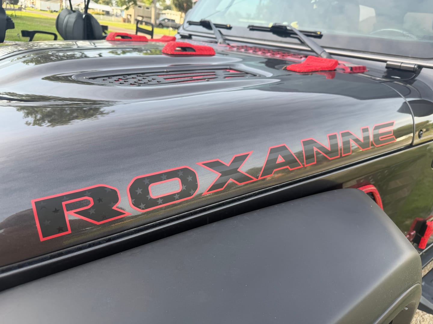Customer photo review of Premium Black Flag Hood Lettering | Set of 2