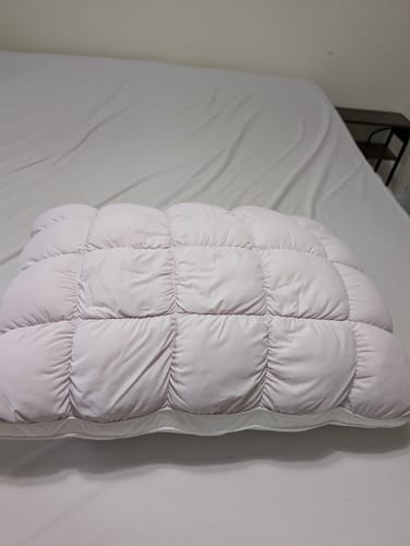 Customer photo review of Lune & Willow Pillow