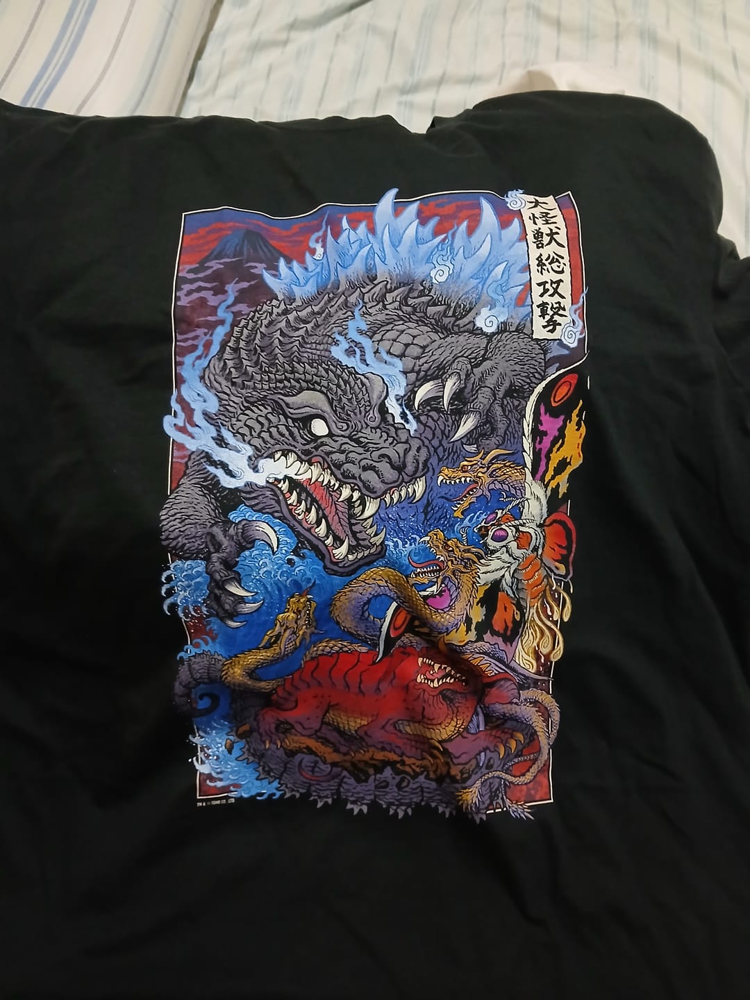 Customer photo review of GODZILLA, MOTHRA AND KING GHIDORAH (GMK) - T-SHIRT