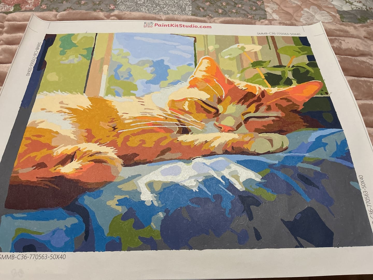 Customer photo review of Sleepy Cat