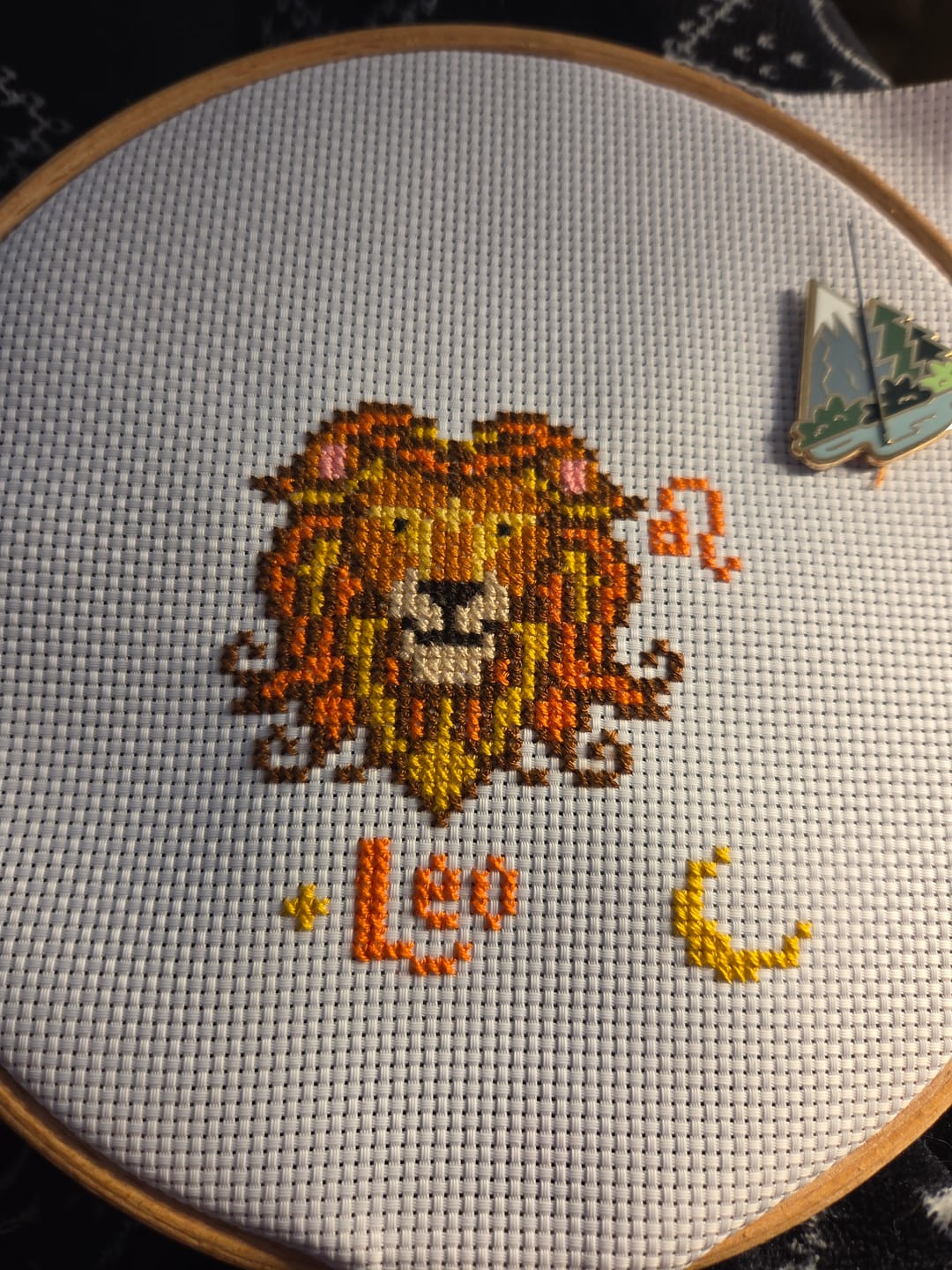 Customer photo review of Stellar Signs - Cross Stitch Pattern