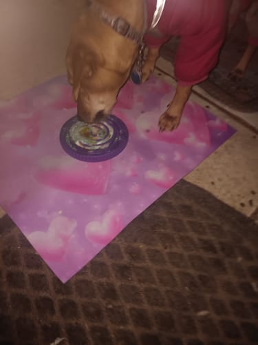 Customer photo review of FreezSwirl - Durable Stimulation Toy