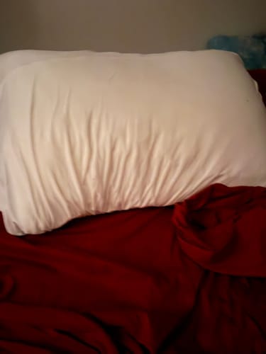 Customer photo review of Lune & Willow Pillow