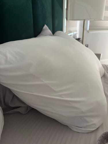 Customer photo review of Lune & Willow Pillow
