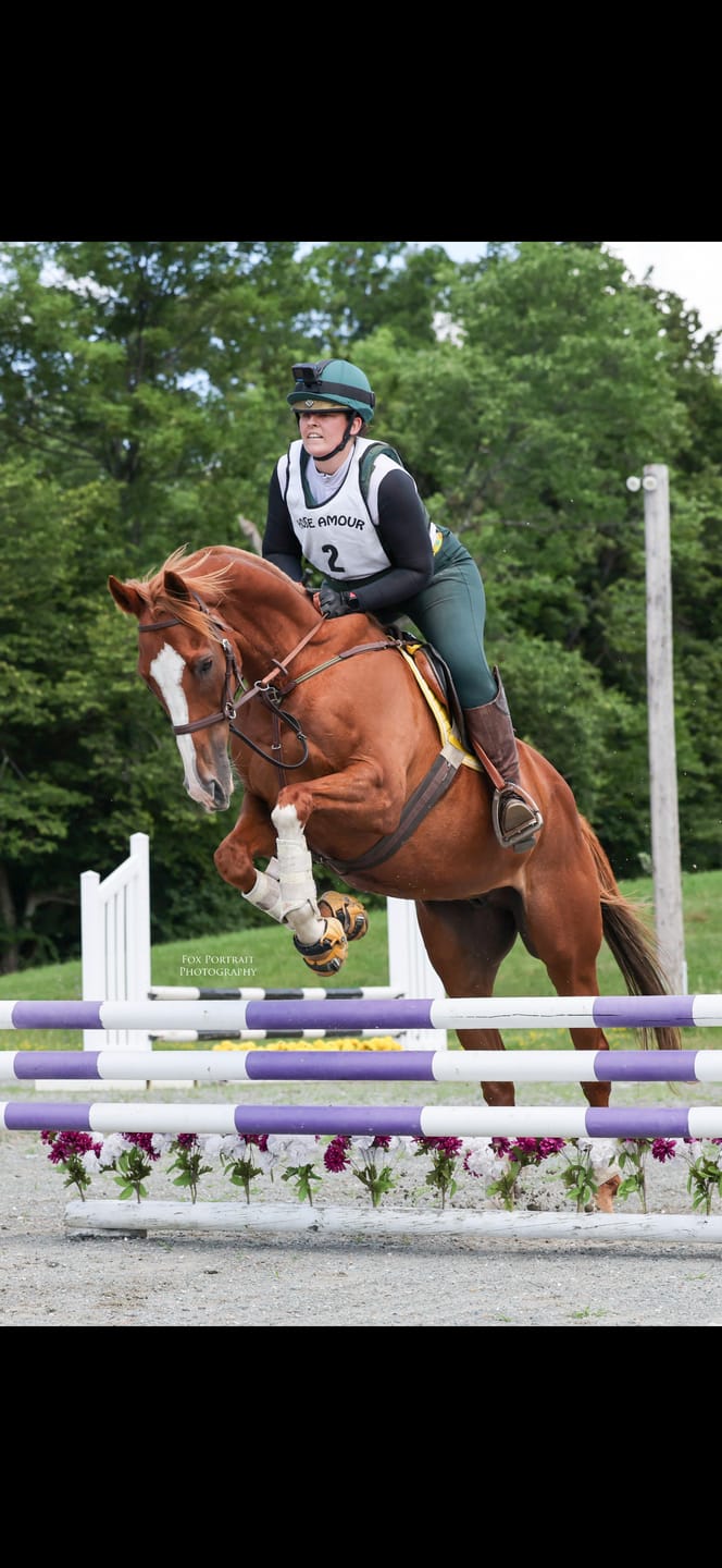Customer photo review of Renegade® Viper Shield™ Hoof Boot - Gold Coast