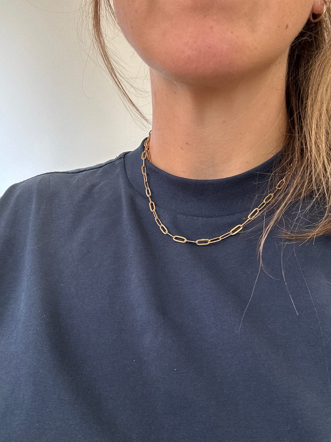 Customer photo review of Paperclip Necklace