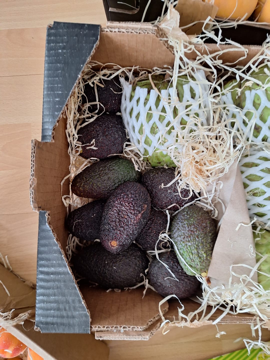 Customer photo review of Avocado Hass 15 Monate baumgereift von Julian