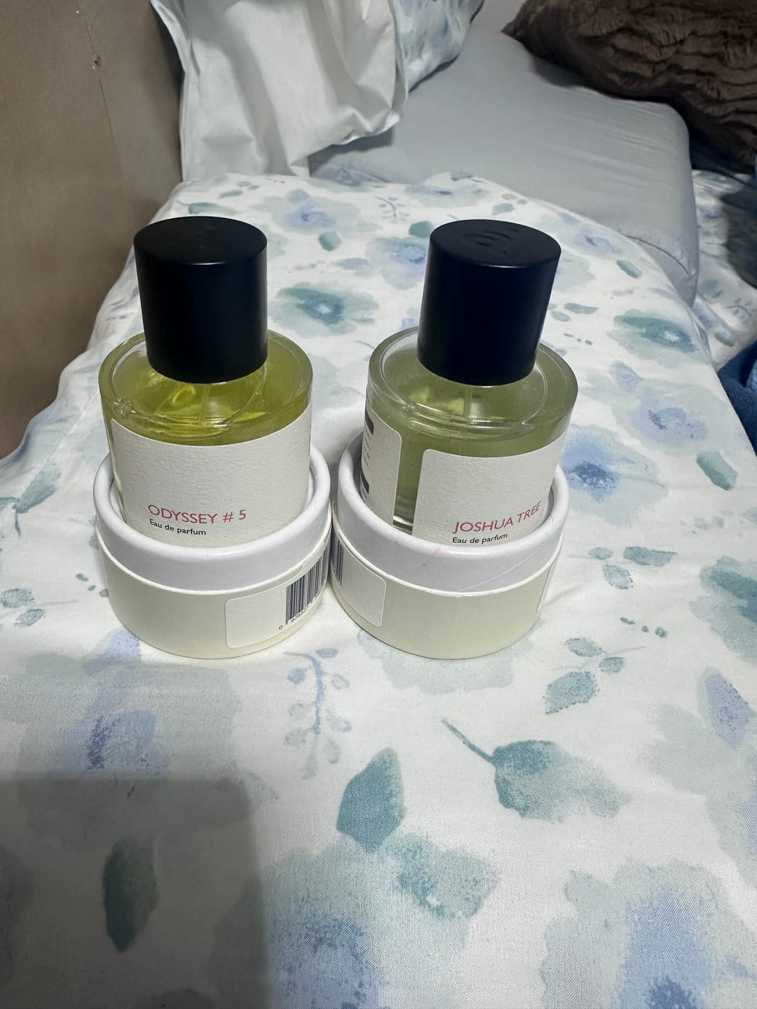 Customer photo review of Joshua Tree