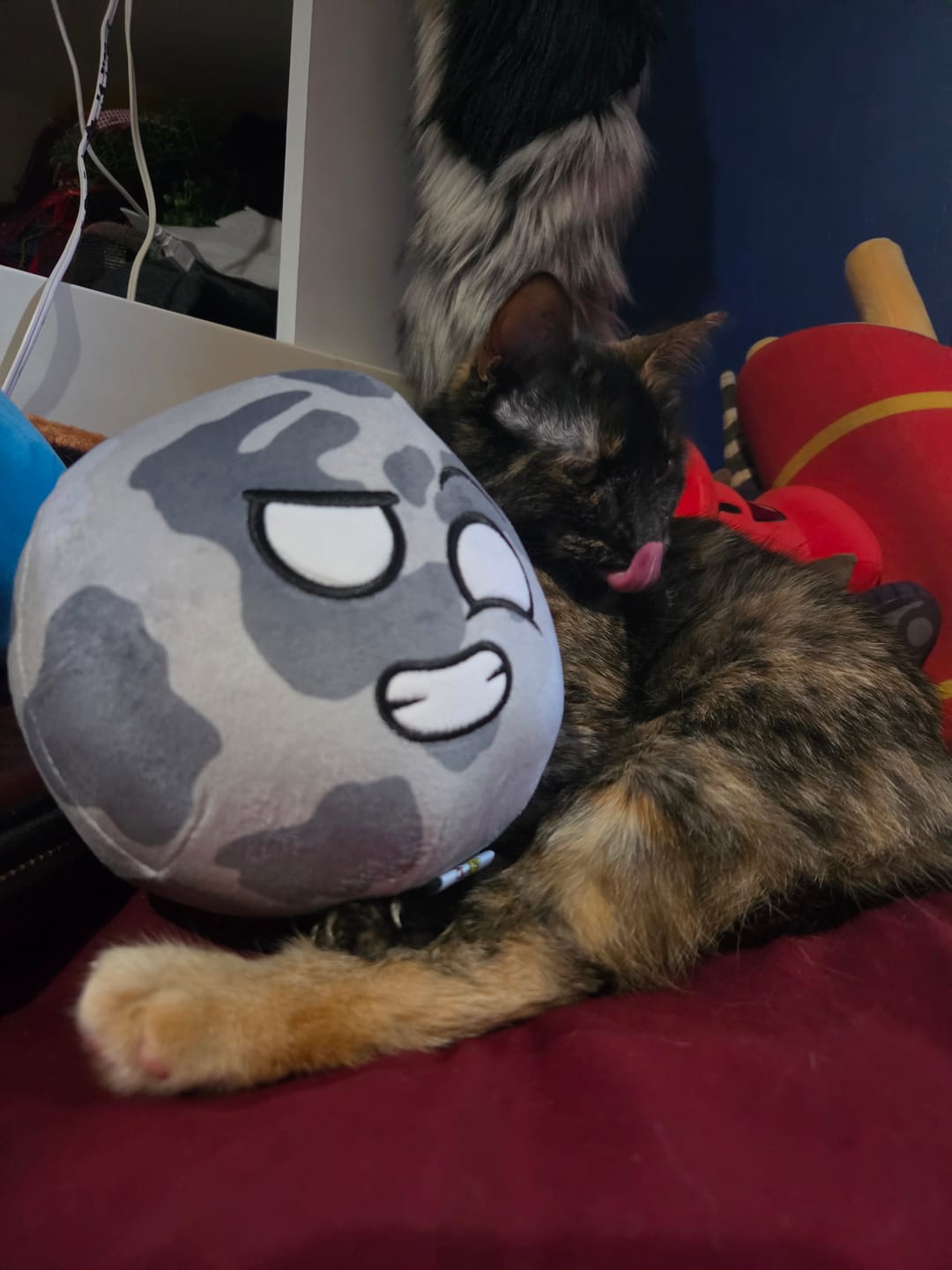 Customer photo review of The SolarBalls Moon Plush