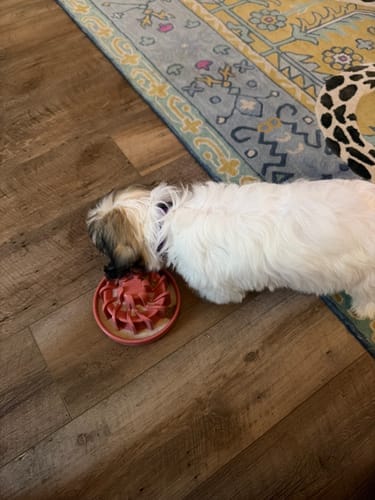 Customer photo review of FreezLava Heavy-Duty Enrichment Chew