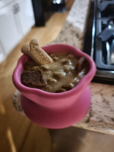 Customer photo review of Freezflower Cup -  Frozen Treat Cup for Calm, Happy Dogs