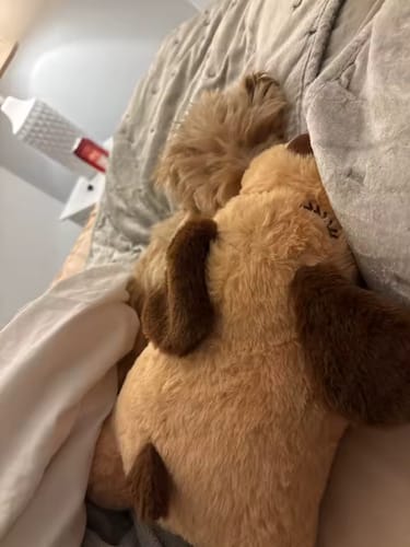 Customer photo review of Psi śpioszek - kojący pluszak dla psów