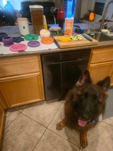 Customer photo review of Freezball - Durable Fillable Dog Chew Bone