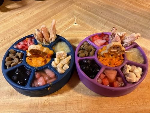 Customer photo review of FreezWheel - Durable Interactive Chew