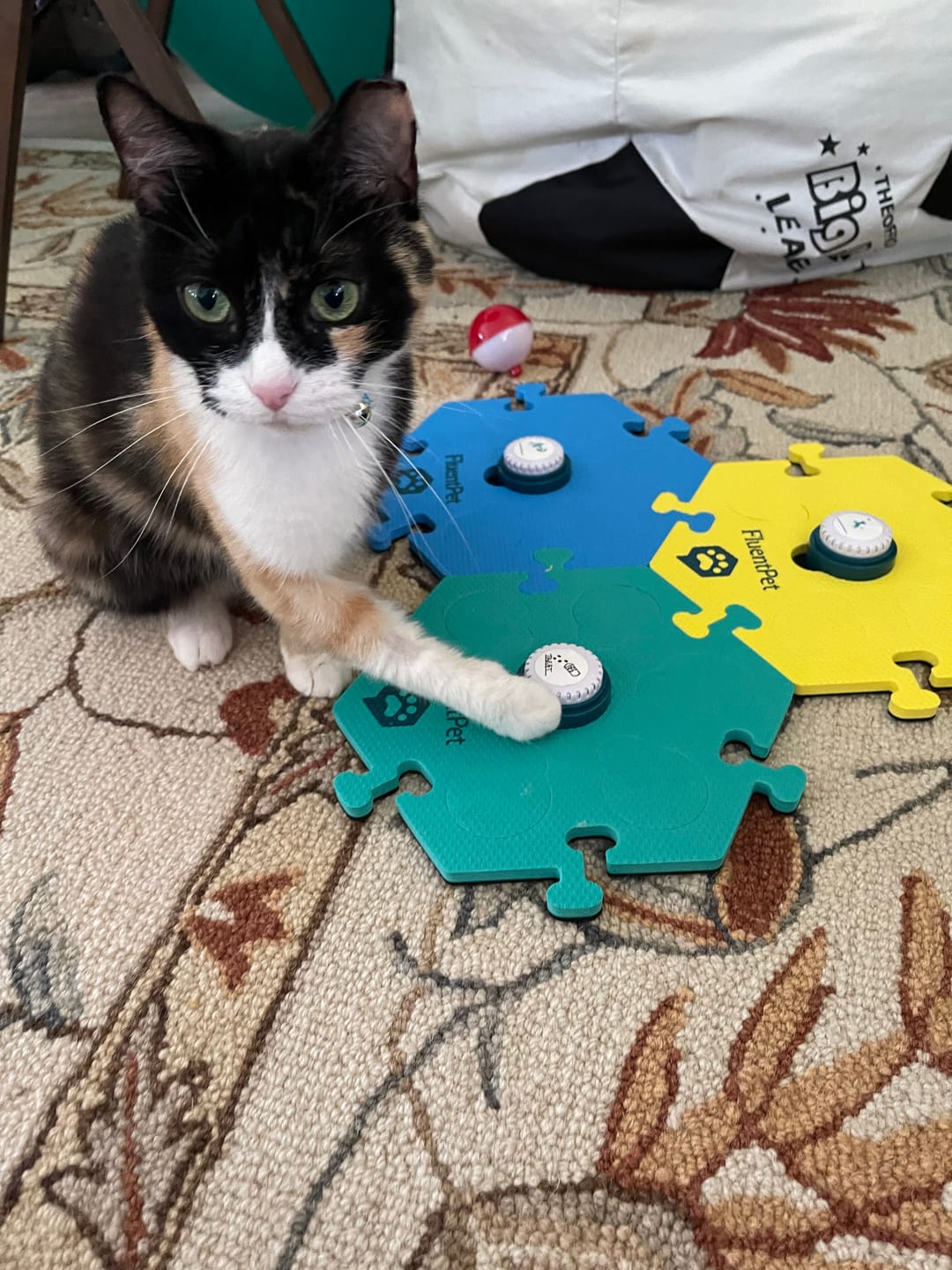 Customer photo review of Get Started Kit Bold