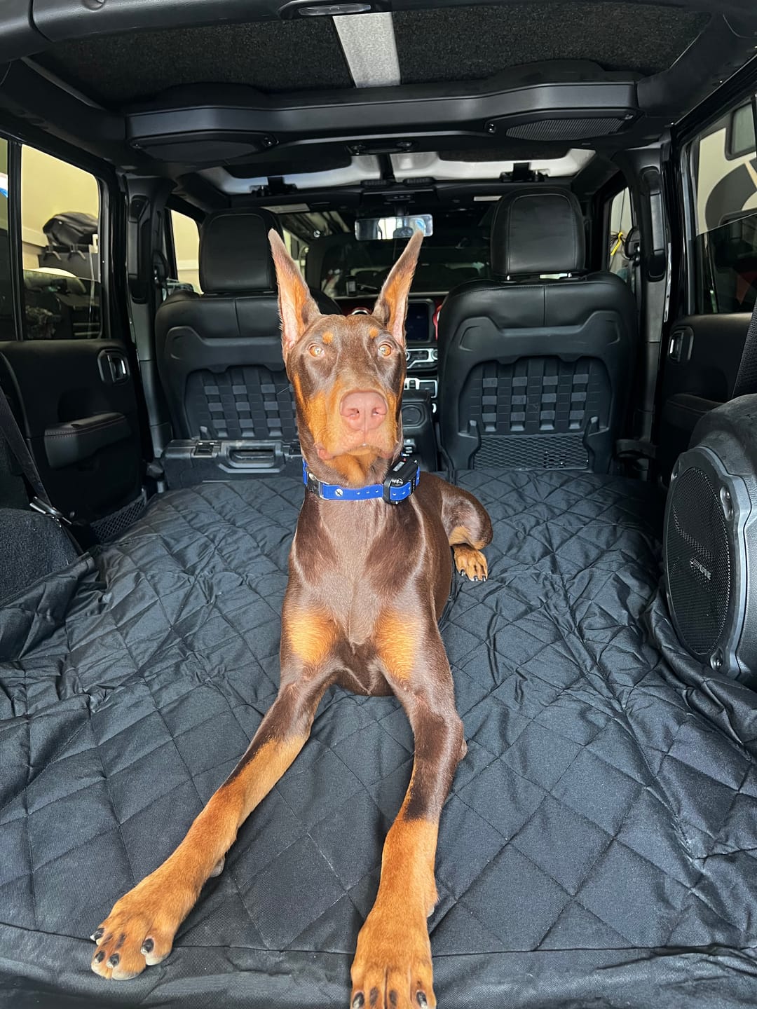 Customer photo review of SUV Cargo Liner for Fold Down Seats - Large