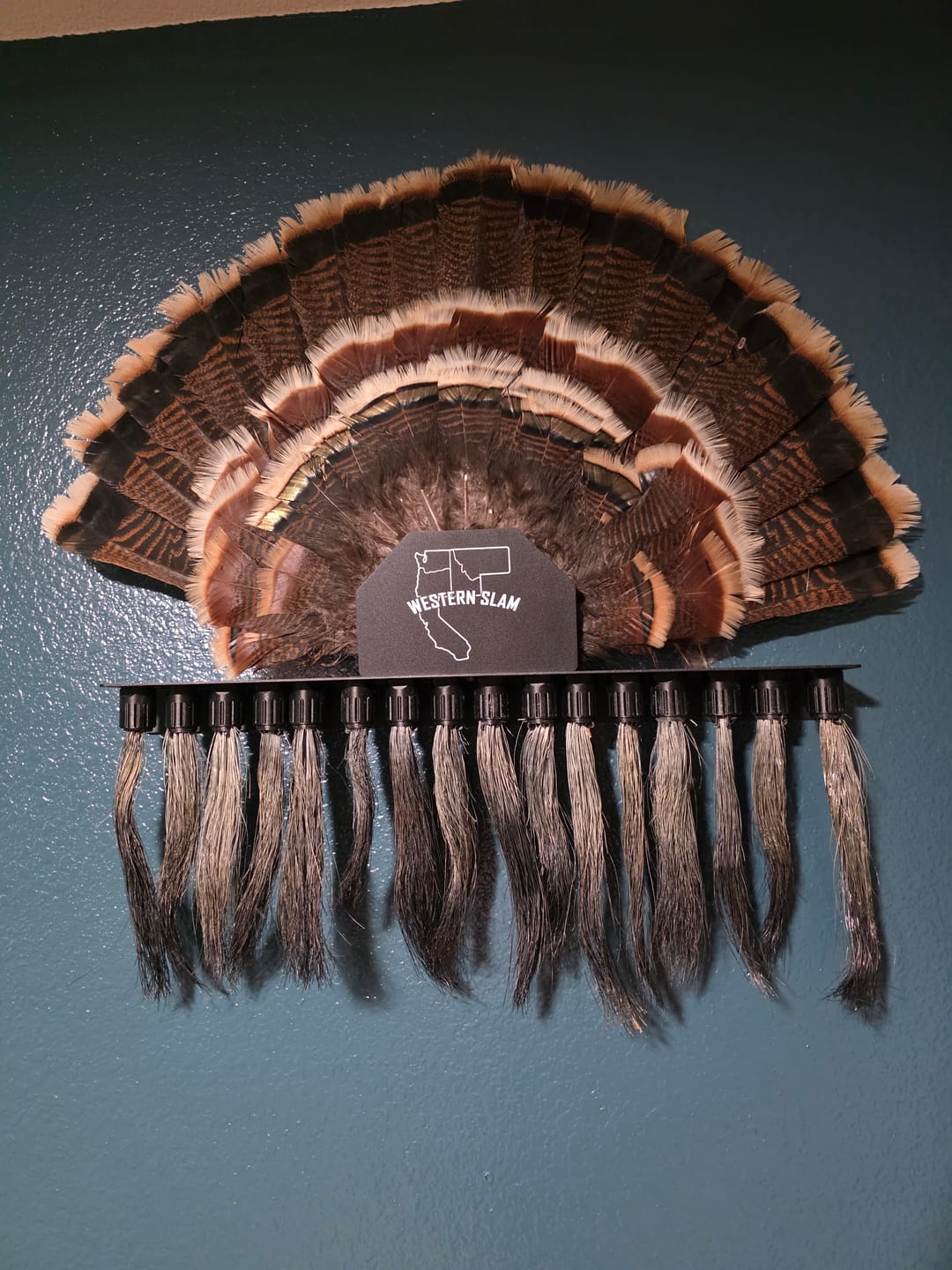 Customer photo review of Beard Shelf | Turkey Beard/Leg/Fan System